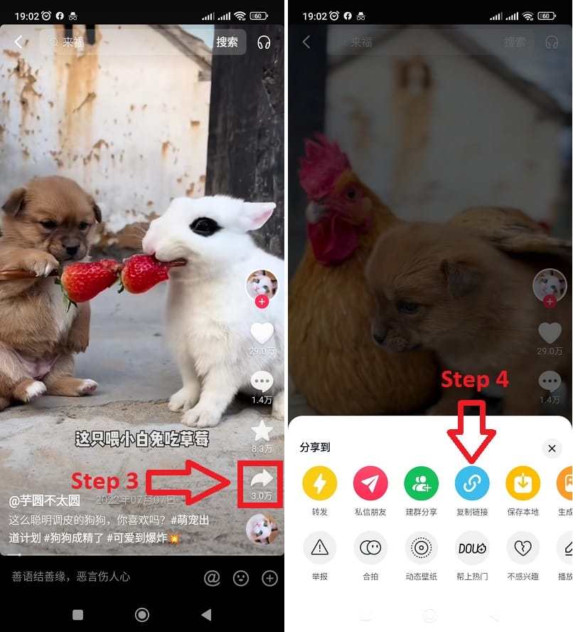 Cách sao chép liên kết video Douyin trên iPhone, Android và PC 3